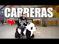 REYDELACITY HACE CARRERAS CON ANIMALES DENTRO DE UNA TIENDA 🤣