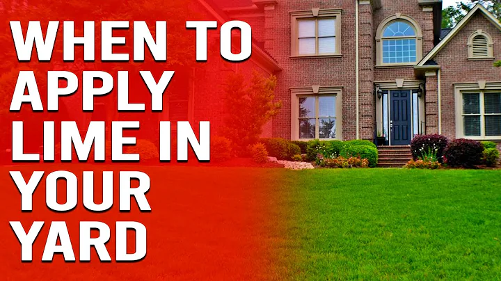 How and When to Apply Lime in Your Yard - How to Use Lime in Your Lawn