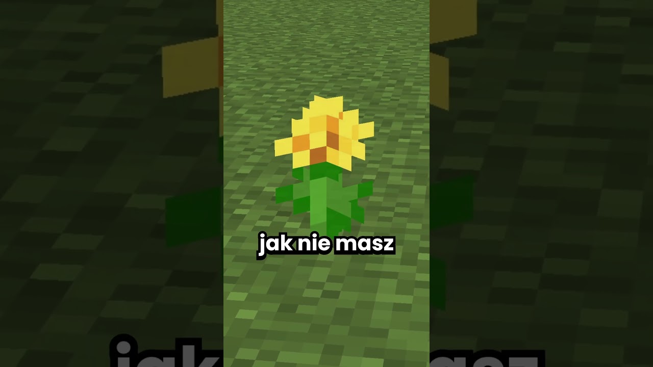 90% GRACZY robi ZUPKI w Minecrafcie ŹLE!