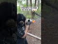 POV: AR Mag Dumps at the Range | Female Shooter #edc #rangeday #fyp #magdump #shorts #airsoft #mm2