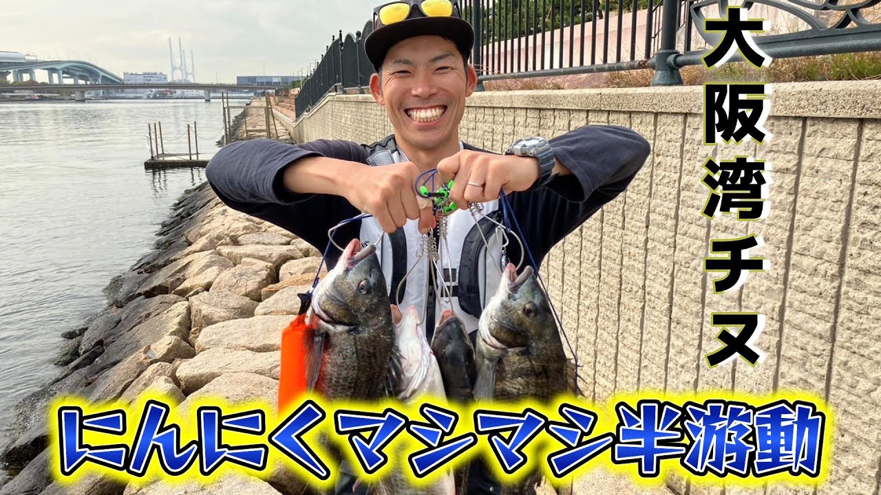 大阪湾にんにくマシマシでチヌ狙いyoutubeアップしました 有限会社エクセルのブログ