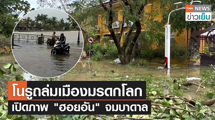 โนรูถล่มเมืองมรดกโลก เปิดภาพ "ฮอยอัน" จมบาดาล | TNN ข่าวเย็น | 29-09-22