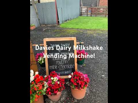 Davies Dairy Milkshake Vending Machine! #travel #DaviesDairy #Milkshake #VendingMachine