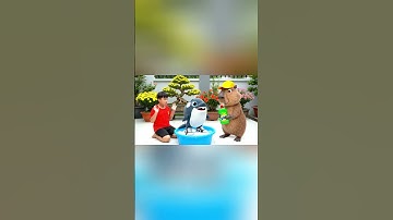 Capy cùng anh giúp bà tắm cho con Orcalero Orcala và cái kết #capybara