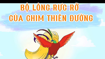 Kể chuyện: BỘ LÔNG RỰC RỠ CỦA CHIM THIÊN ĐƯỜNG/ LỚP 3/ CÁNH DIỀU
