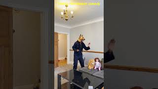 Dog steals Lion realistic baby doll prank tiktok Try not to laugh India comedy funny video #shorts
