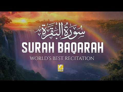 Surah Al-Baqarah Full (سورة البقرة) | Ultimate Most Beautiful Heart Melting Quran | Zikrullah Tube