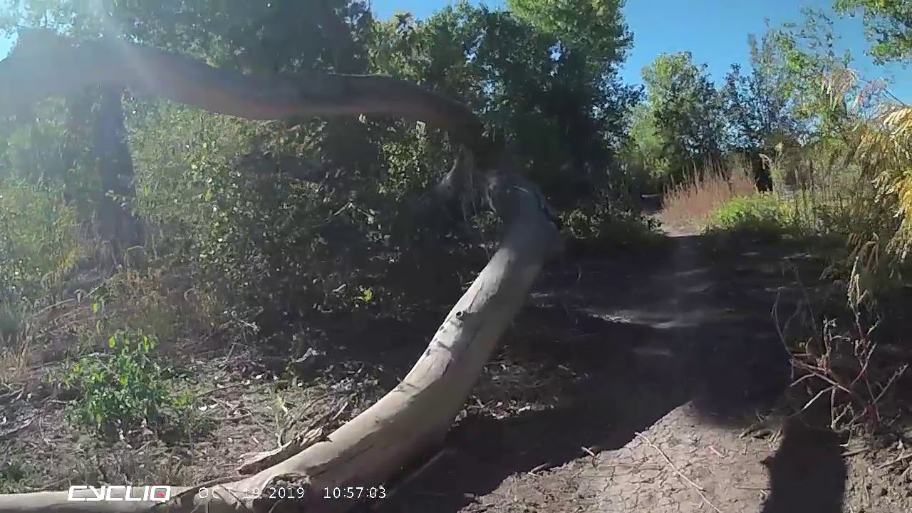 Albuquerque Dirt YouTube