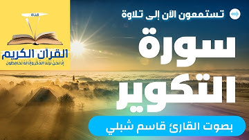 سورة التكوير بصوت الشيخ القارئ قاسم شبلي