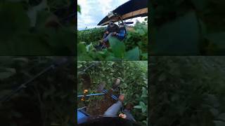I Crashed My Ultralight