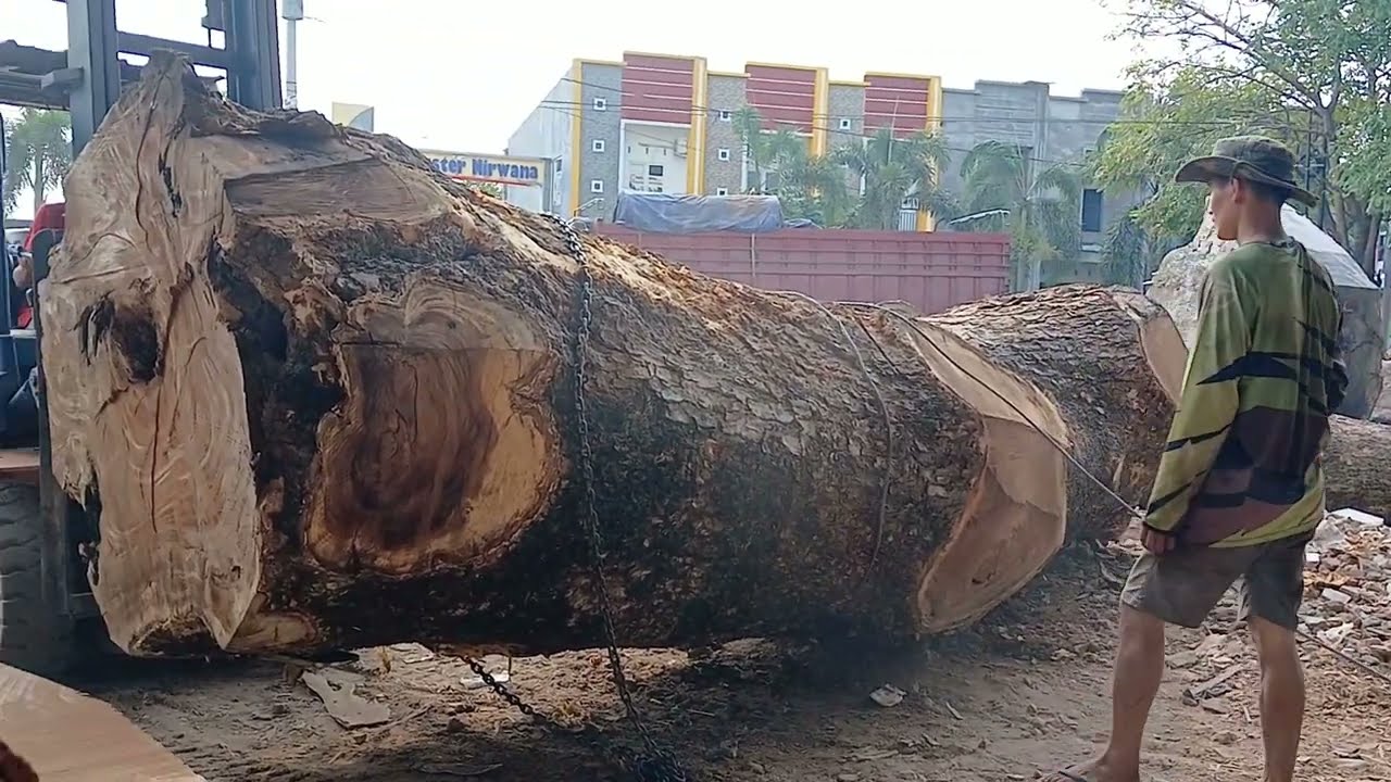 TRENDING! LIKE GETTING A TREASURE! Ugly Outside, Good Inside | Giant Wood Cutting Process