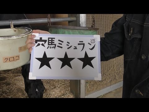 【ヴィクトリアマイル】独占スクープ！　カメラが見た穴馬！　クロコスミア・北添裕哉助手