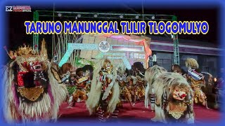 Taruno Manunggal Tlilir Tlogomulyo Terbaru 