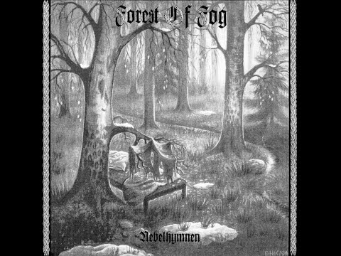 Forest of Fog - Nebelhymnen (Full Album) — free youtube stock footage
