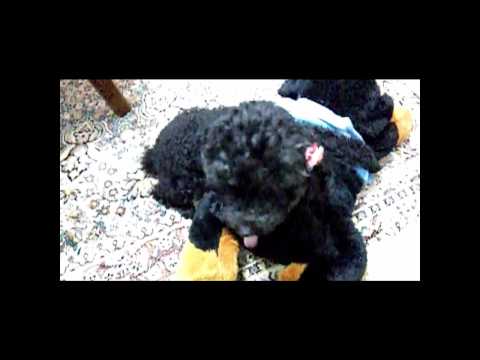 今日のめいちゃん.wmv