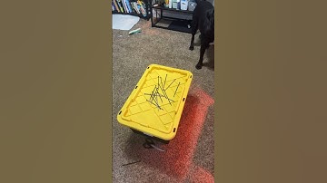 DIY Brooder For under 30 dollars. #DIY #Chickens #ducks #brooder #chicksbrooding #ducklings