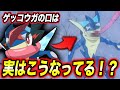 【裏設定】実はゲッコウガはダサい…?ポケモン界の裏設定が衝撃的だった!!!!【ポケモンSV】【新無印】【サトシ】【アニポケ考察】【ポケットモンスタースカーレットバイオレット】【はるかっと】