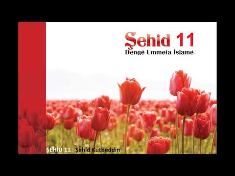 Şehid 10/11  Şehid Kutbeddin