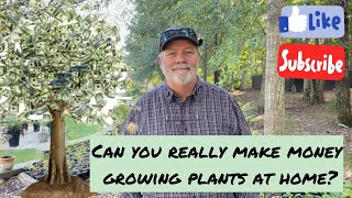 Can You Really Make Money With A Backyard Nursery?