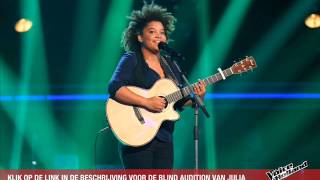 The Voice of Holland 2013 - Auditie - Julia van der Toorn - Empire State Of Mind