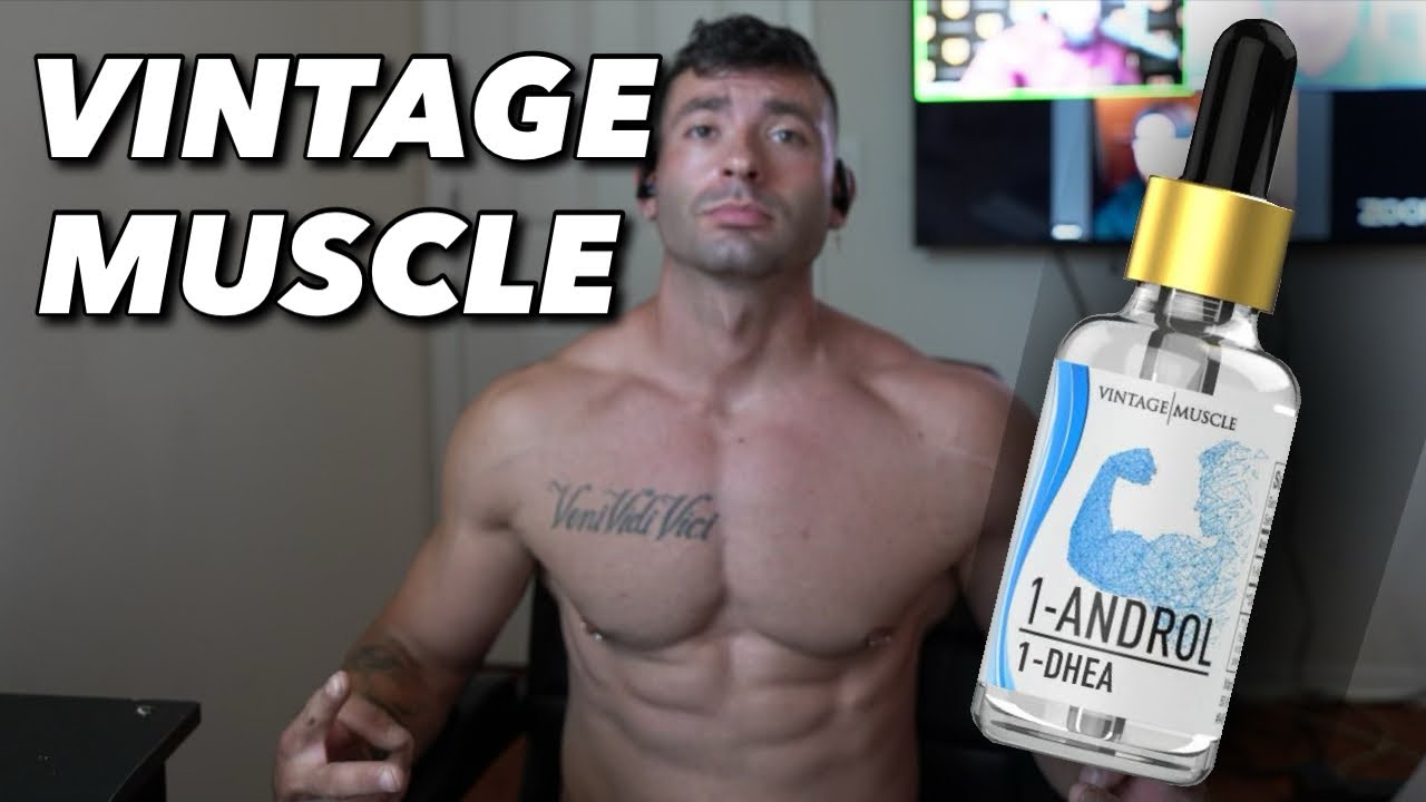 Vintage Muscle 1 - ANDROL 1 - DHEA Review ( Fully Explained )