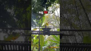 ใครดูแล้วบ้าง? แหกกฎ 10 ข้อ ในอาณาจักรโจโฉ.. 😱🌴 #spd #spdผู้ให้no1