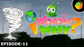 Why Do We Give Names To Hurricanes? - I Wonder Why - Amazing & Interesting Fun Facts Video For Kids Profile