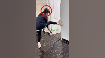 Đây là chú chó nhỏ dễ thương nhất mà bạn từng thấy trong đời 🐶🥰