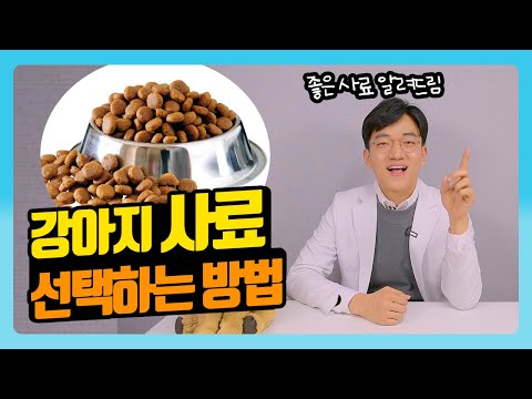 강아지 사료 선택하는 방법(오가닉? 홀리스틱? 건사료? 습식사료?)