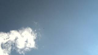 Raptor Flatspin