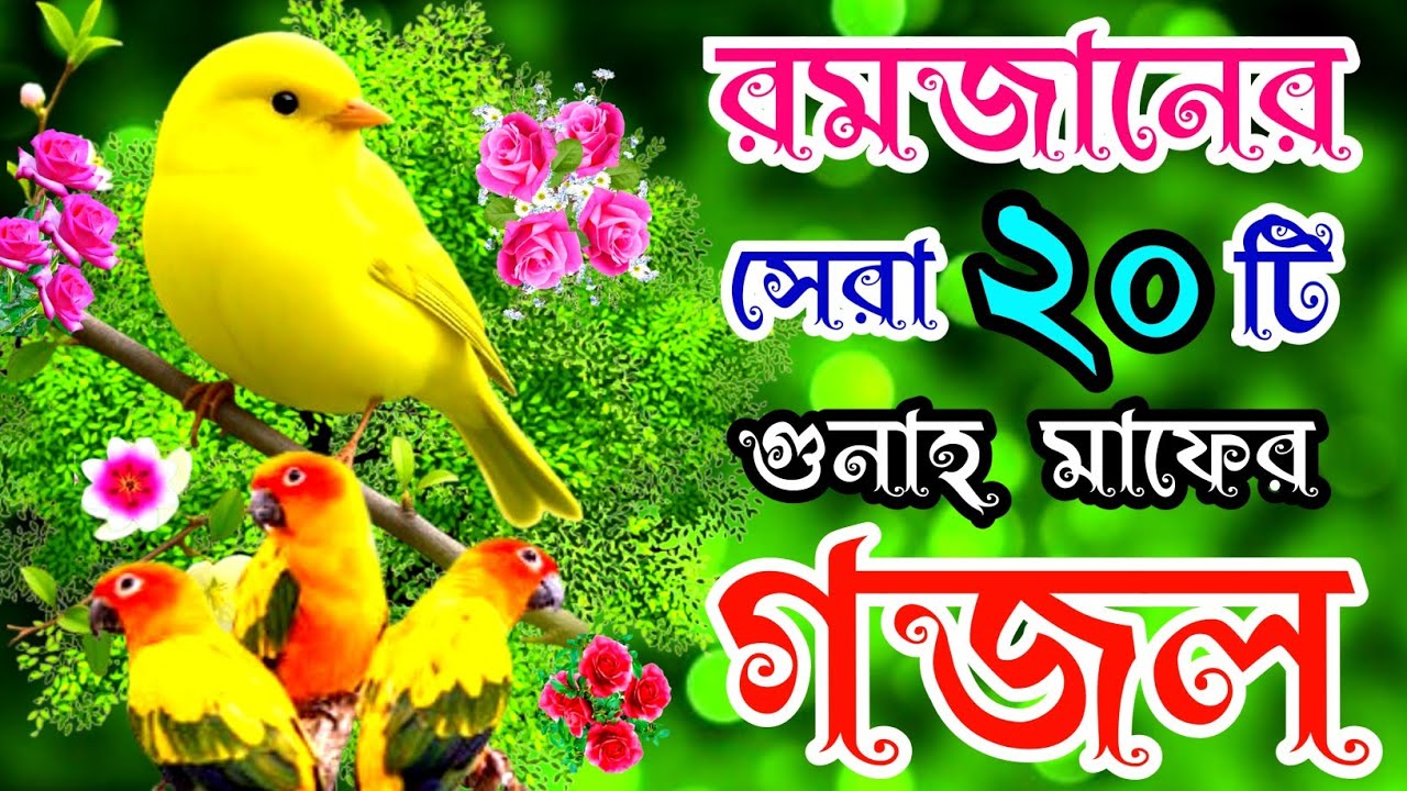 রমজানের সেরা গুনাহ মাফের মন প্রাণ জুড়ানো ২০টি হৃদয় স্পর্শী গজল | Ramadan Gojol | Best Islamic Song