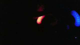 Poi flow 12-19-18