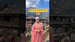 खेती का असली मज़ा! 🌾 #PahadiLifestyle #youtubeshorts #trending #shorts