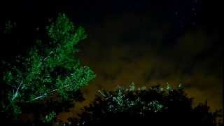 nikon settings d3200 d3100