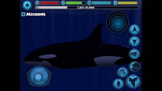 Orca sim Emerald Shows screenshot 5