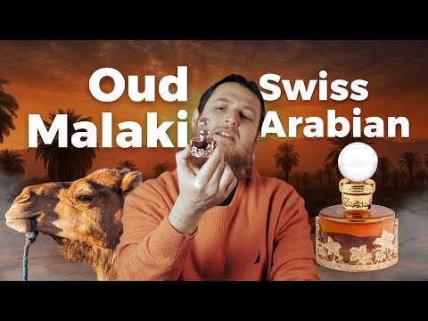 Oud Malaki Swiss Arabian - Did I find Oud in it or?