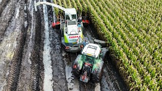 Mais 2023 - EXTREME MUD with Claas Jaguar 900 | Pleizier & Timmer