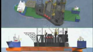 Dockwise Black Marlin