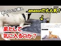 amazonで人気の犬のベッドを購入！果たして気にいるのか？~My dog Likes popular bed in amazon or does not.~
