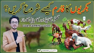 Goat Farming guide detail information|How to start a successful goat farming business|#goat #farming