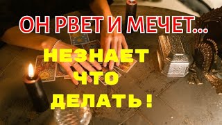 картинка: ТАРО.🤦‍♂️УЖАС 😱ЧТО ЕГО СЕГОДНЯ СВЕЛО С УМА⁉️ ТЕБЕ СРОЧНО ЭТО НАДО ЗНАТЬ❗️