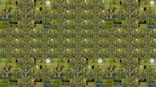 Title ls Description
