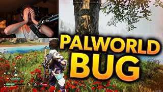 Do NOT Max Catch Rate in Palworld... — Asmongold Clips