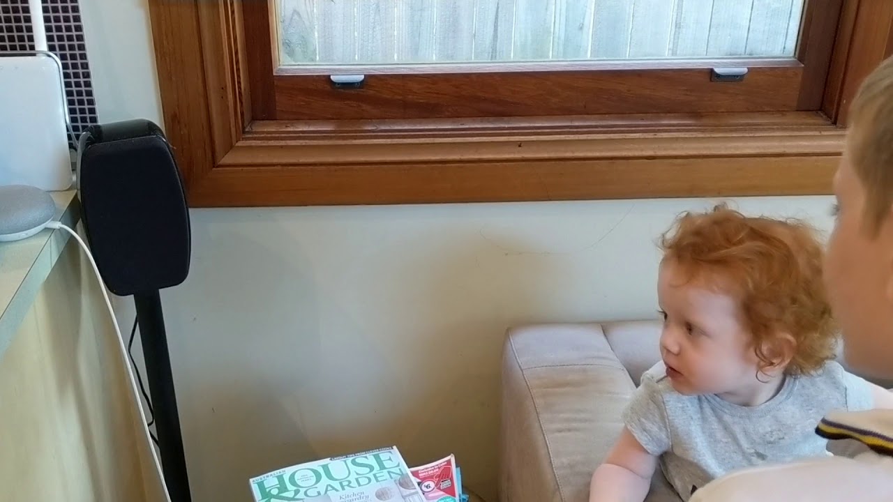 Blye trying to get the google home to work
