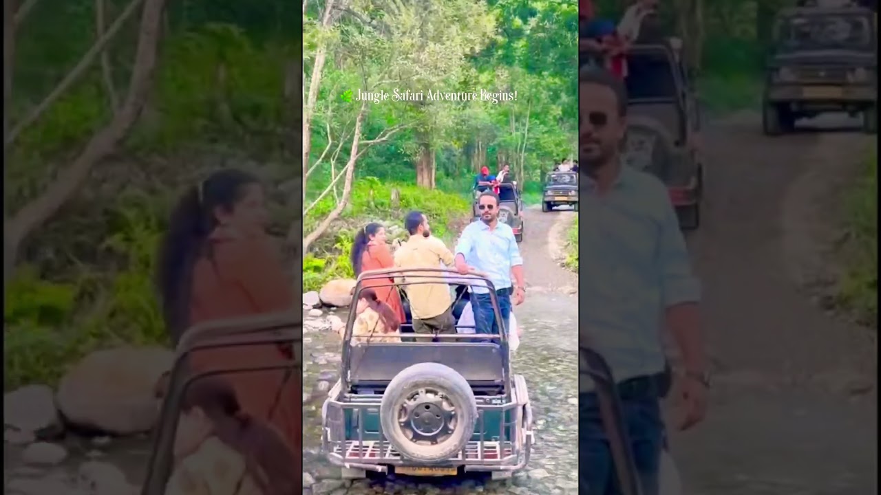 Jungle Safari 🐾😼#trending #trendingshorts #short #viral #vlog #ytshorts #yt #love #jungle #travel
