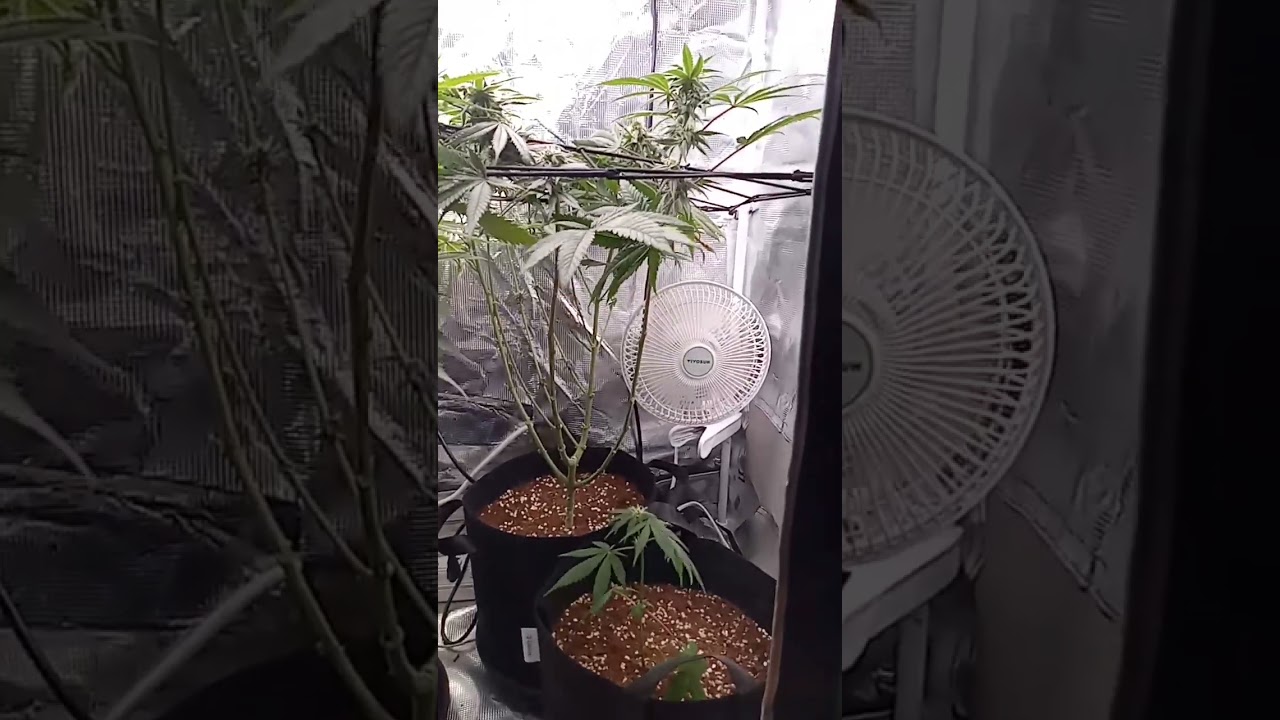 This is my budget setup.Learning alot from the community.