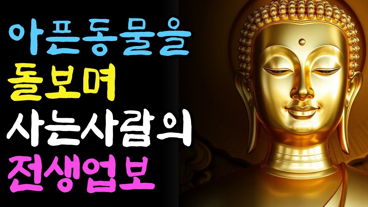 가엾고 아픈 동물을 돌보고 사는 사람은 전생에 이런사람이었다 | 부처님지혜 | 부처님말씀 | 석가모니 가르침 | 인생조언 | 불교철학 | 마음챙김 | 오디오북