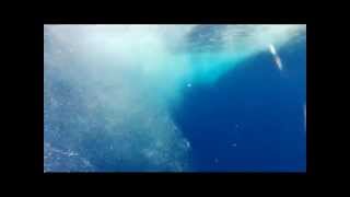Troll Pro testing in Waianae sea