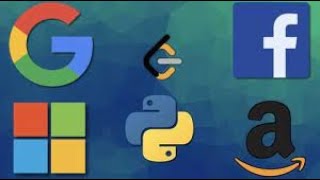 FAANG Engineer tries reversing vowels of a string