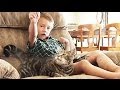 Cat Saves Little Boy From Being Attacked by Neighbor's Dog